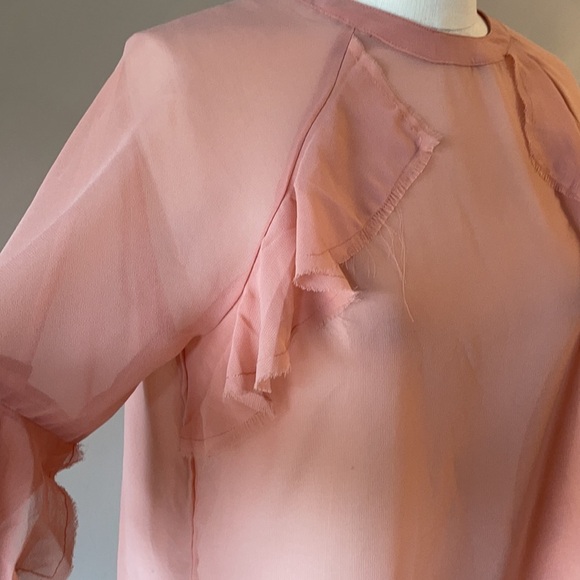 NWT ASOS RAW RUFFLED SHEER BLOUSE. Long sleeve. Crew neck peachy pink size 8 - Picture 5 of 15